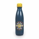 HERE COMES THE SUN METAL WATER BOTTLE